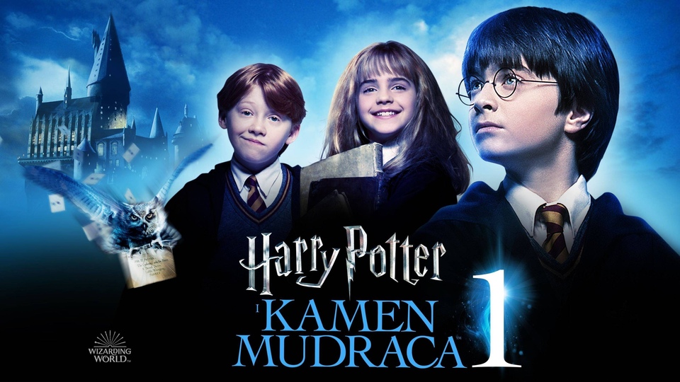 Od Hogwartsa do poslovnog svijeta – film kao poticaj za razvoj komunikacijskih vještina učenika komercijalista